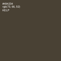 #494234 - Kelp Color Image