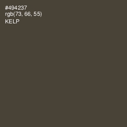 #494237 - Kelp Color Image