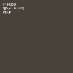 #49423B - Kelp Color Image