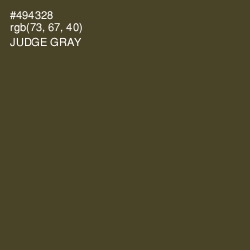 #494328 - Judge Gray Color Image