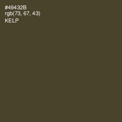 #49432B - Kelp Color Image