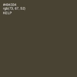#494334 - Kelp Color Image