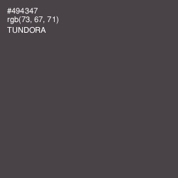 #494347 - Tundora Color Image