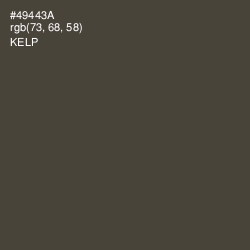 #49443A - Kelp Color Image