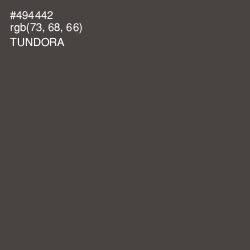 #494442 - Tundora Color Image