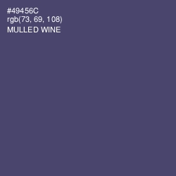 #49456C - Mulled Wine Color Image
