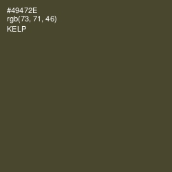 #49472E - Kelp Color Image