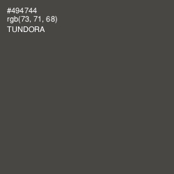 #494744 - Tundora Color Image