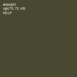 #494831 - Kelp Color Image