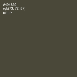 #494839 - Kelp Color Image