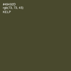 #49492D - Kelp Color Image