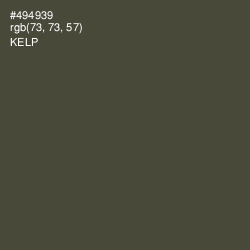#494939 - Kelp Color Image