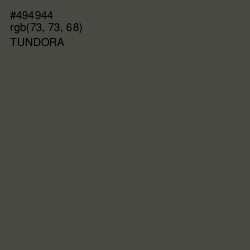 #494944 - Tundora Color Image