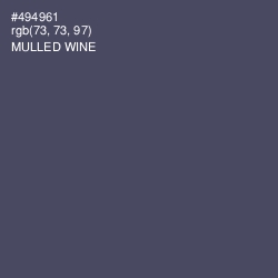 #494961 - Mulled Wine Color Image