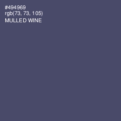 #494969 - Mulled Wine Color Image