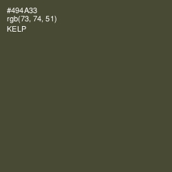 #494A33 - Kelp Color Image