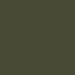 #494A36 - Kelp Color Image