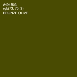 #494B03 - Bronze Olive Color Image