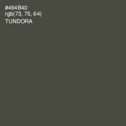 #494B40 - Tundora Color Image