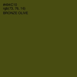 #494C10 - Bronze Olive Color Image