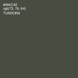 #494C40 - Tundora Color Image