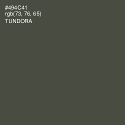#494C41 - Tundora Color Image
