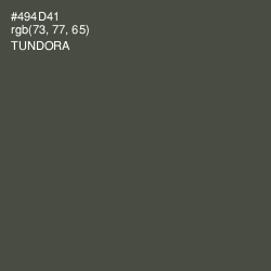 #494D41 - Tundora Color Image