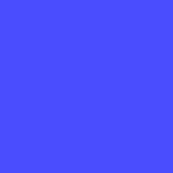 #494DFD - Royal Blue Color Image