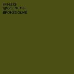 #494E13 - Bronze Olive Color Image