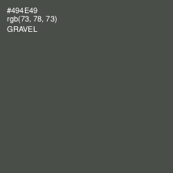 #494E49 - Gravel Color Image