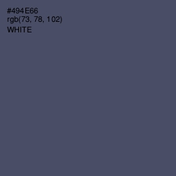 #494E66 - Mulled Wine Color Image