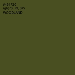 #494F20 - Woodland Color Image