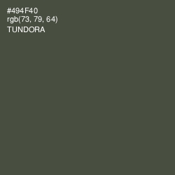 #494F40 - Tundora Color Image