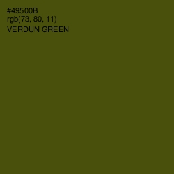 #49500B - Verdun Green Color Image