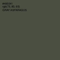 #495041 - Gray Asparagus Color Image