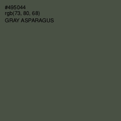 #495044 - Gray Asparagus Color Image