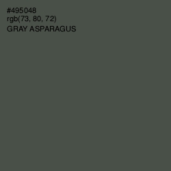 #495048 - Gray Asparagus Color Image