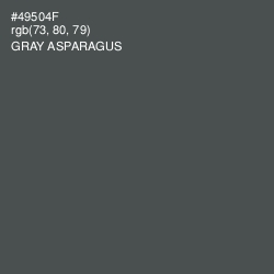 #49504F - Gray Asparagus Color Image