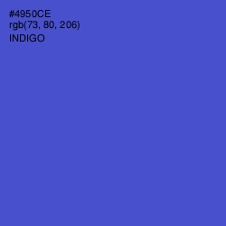 #4950CE - Indigo Color Image