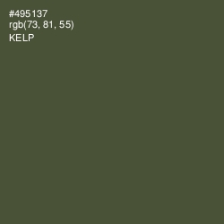 #495137 - Kelp Color Image