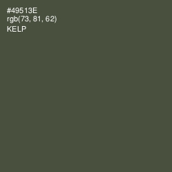 #49513E - Kelp Color Image