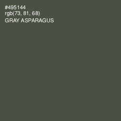 #495144 - Gray Asparagus Color Image