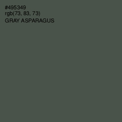 #495349 - Gray Asparagus Color Image