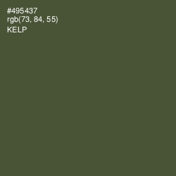 #495437 - Kelp Color Image