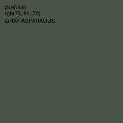 #495446 - Gray Asparagus Color Image