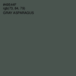 #49544F - Gray Asparagus Color Image