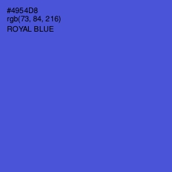 #4954D8 - Royal Blue Color Image