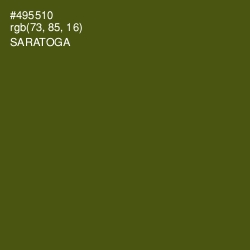 #495510 - Saratoga Color Image