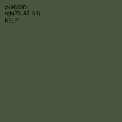 #49553D - Kelp Color Image