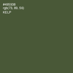 #495938 - Kelp Color Image